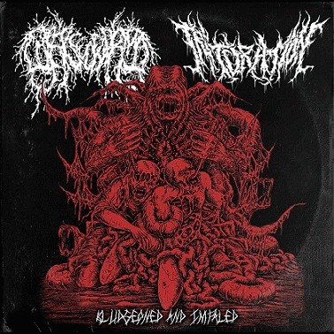 Corpse Of Norma : Bludgeoned and Impaled